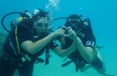 Diving in Samui for certified divers