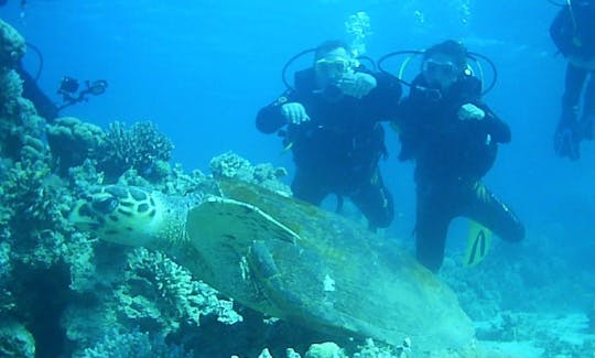 Book The Introductory Dive In Aqaba, Jordan