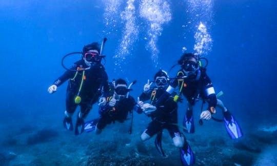 Book A Fun Diving Trip In Phi Phi Island, Thailand