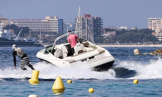 バレアレス諸島のパルマでのモントレーデッキボートレンタル