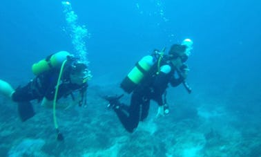 Treinamento de mergulho com Pieter em Mpumalanga, África do Sul