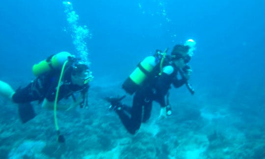 Scuba Diving Training with Pieter in Mpumalanga, South Africa
