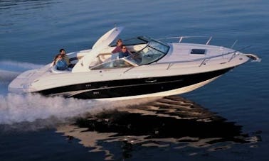 Book the Sea Ray 290 Super Sport Rental in Ibiza, Baleares