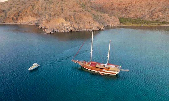 Turkish Gulet for Charter in Sea of Cortez