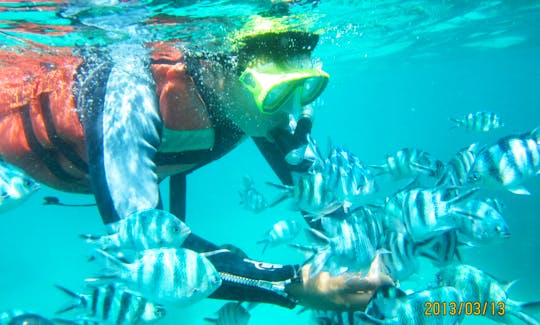 3 spot poin Snorkeling with manta rays