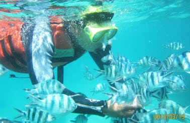 Amazing Snorkeling Adventure with a Guide in Denpasar Selatan, Bali