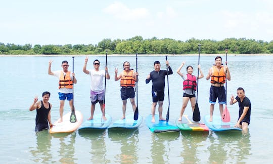 Awesome Single-Person Paddleboard for Rent in Denpasar Selatan, Bali