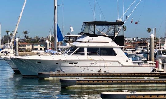 Charter this 45 ft Bertram Motor Yacht for up to12 People in Los Angeles , CA.