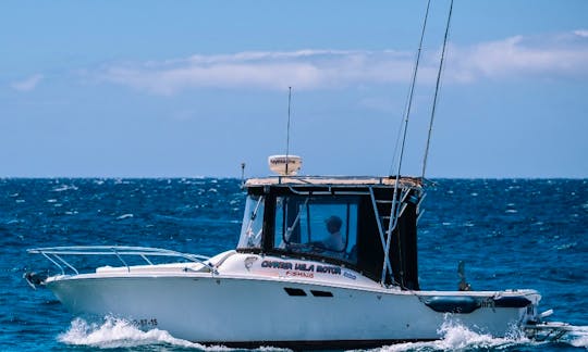 Luhrs 25 Fishing Boats Rental for Up to 6 People in Arona, Spain