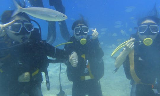 Amazing Diving Experience Offered in Fethiye, Turkey