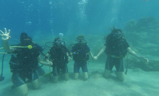 Amazing Diving Experience Offered in Fethiye, Turkey