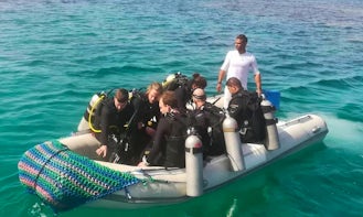Discover Scuba Diving in Red Sea Governorate