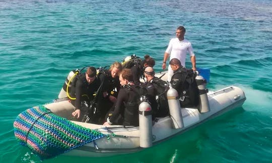 Discover Scuba Diving in Red Sea Governorate
