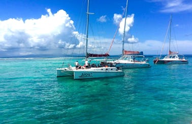 Full Day Catamaran Cruise to the Northern Islands