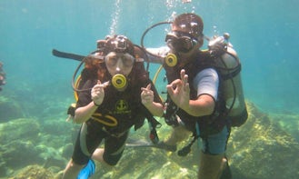 Unforgettable Diving Experience in Thành phố Nha Trang, Vietnam with Professional Guides