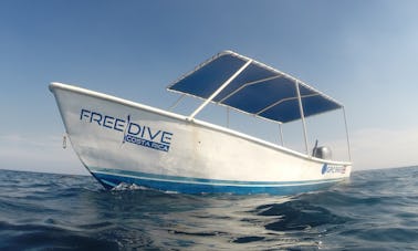 ¡Pesca submarina, buceo en apnea, esnórquel en moto marina! ¡Nuestro barco Panga está disponible para ti en Tamarindo!