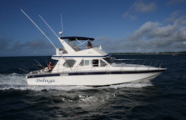 Enjoy a Deep Sea Fishing Charter for 6 People in Flic en Flac, Mauritius