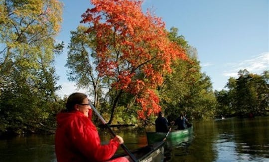 Single-Kajak or Canoe / Rental in Siuntio, Finland