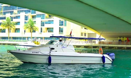 Skippered Charter a 31' Fishing and Cruising Boat in Dubai, United Arab Emirates