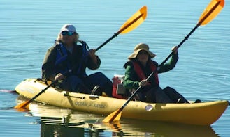 Kayak Adventure on Americas Wild Rivers Coast!