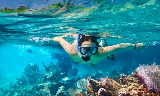 Kayak and Snorkeling Eco -Trips in Islamorada or Key West