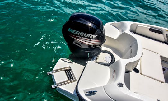 18' Bayliner Element Boat in Miami with Free Parking!