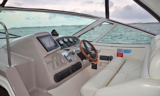 Cruiser Yacht with professional and enjoyable captain.