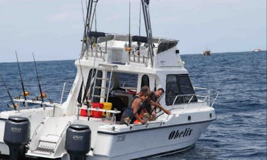 Pesca de tigres no safári no rio Zambeze