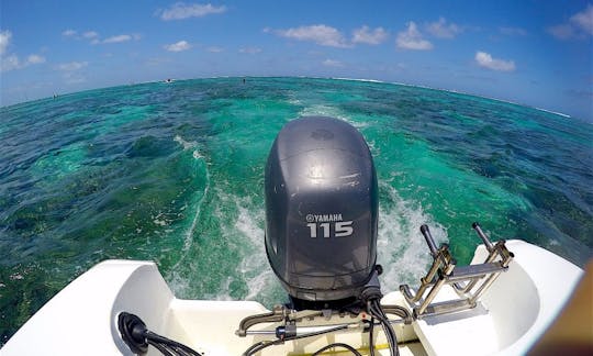 Speedboat Cruises in Pointe Jérome, Mauritius