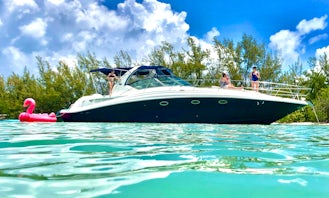 45ft Sea Ray Motor Yacht for 13 people - Luxury and Affordable