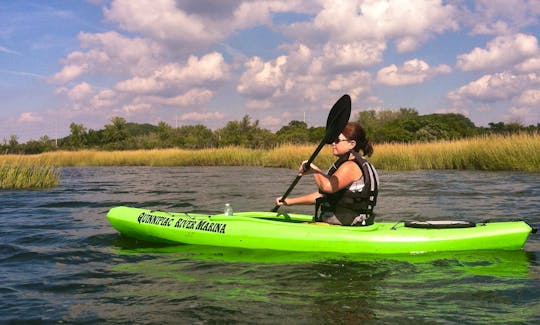 Come and Discover the Fargeorge Bird Sanctuary! You can also fish off your Kayak!!