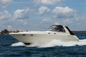 Enjoy our world class service in WashingtonDC on our luxury yachts