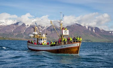 ¡La mejor ubicación para disfrutar de las ballenas en su hábitat natural!