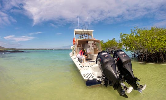 Sportfishing Trip and Sea Safari Adventure in Galapagos Island