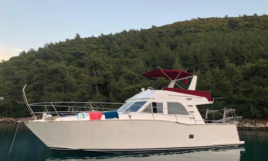 Louez un yacht à moteur de 39 pieds pour 12 personnes à Muğla, en Turquie !