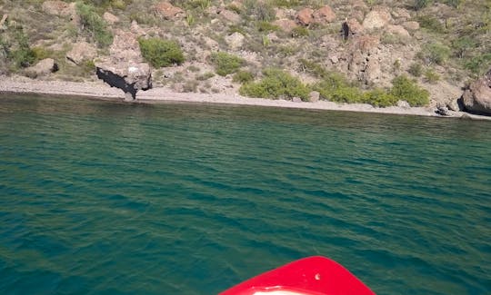 Snorkeling Adventure on Danzante and Carmen Island of Loreto, Baja California Sur
