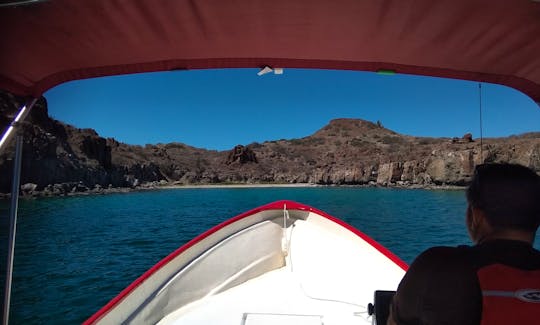 Snorkeling Adventure on Danzante and Carmen Island of Loreto, Baja California Sur