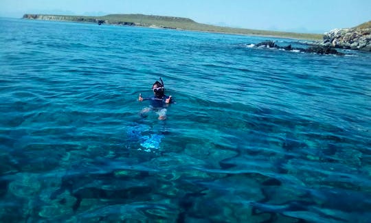 Snorkeling Adventure on Danzante Island of Loreto, Baja California Sur