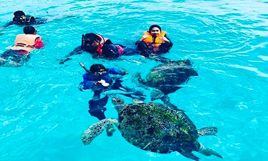 Snorkeling with turtle at redang island