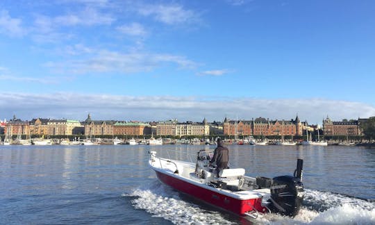 Aventura de pesca no arquipélago de Estocolmo com o console Sea Pro 24 Bay Center