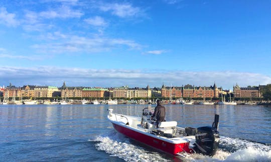 Fishing Adventure in Stockholm Archipelago with Sea Pro 24 Bay Center Console