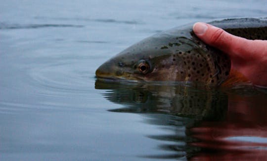 Aventura de pesca no arquipélago de Vaxholm com o console Sea Pro 24 Bay Center