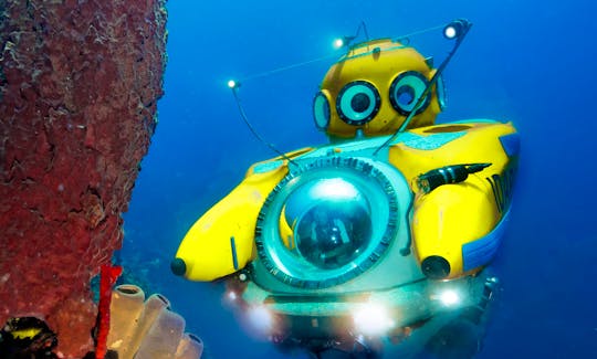 “Idabel” Submersible Rental in West End, Bay Islands Department
