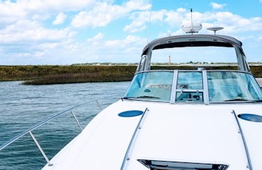 Best Day On The Water! Charter this 36' Sea Ray Sport Yacht Today! You'll Love It!!