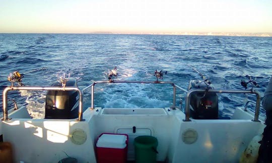 Reliable Fishing Charter for 10 People in Durban, KwaZulu-Natal