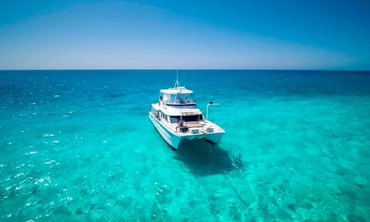 45' Power catamaran OFFRODS Charter in Noumea, New Caledonia