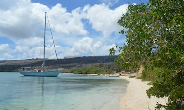 Curacao Experience, Spanish Waters, snorkel and fuik cruise ship pickup possible