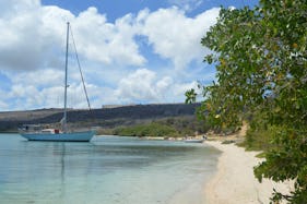 Curacao Experience, Spanish Waters, snorkel and fuik cruise ship pickup possible