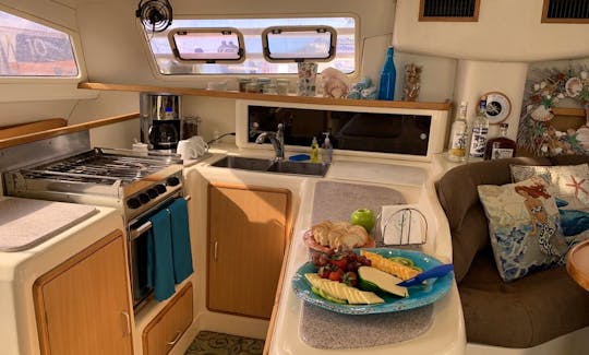 The galley has every amenity needed