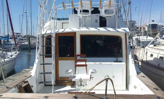 Alquiler de pesca en el yate Dawson Sportfish de 38 pies en Norfolk, Virginia